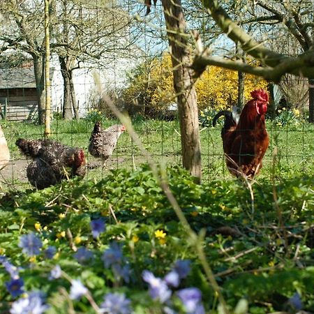 In Den Akker Villa Oudenaarde Kültér fotó