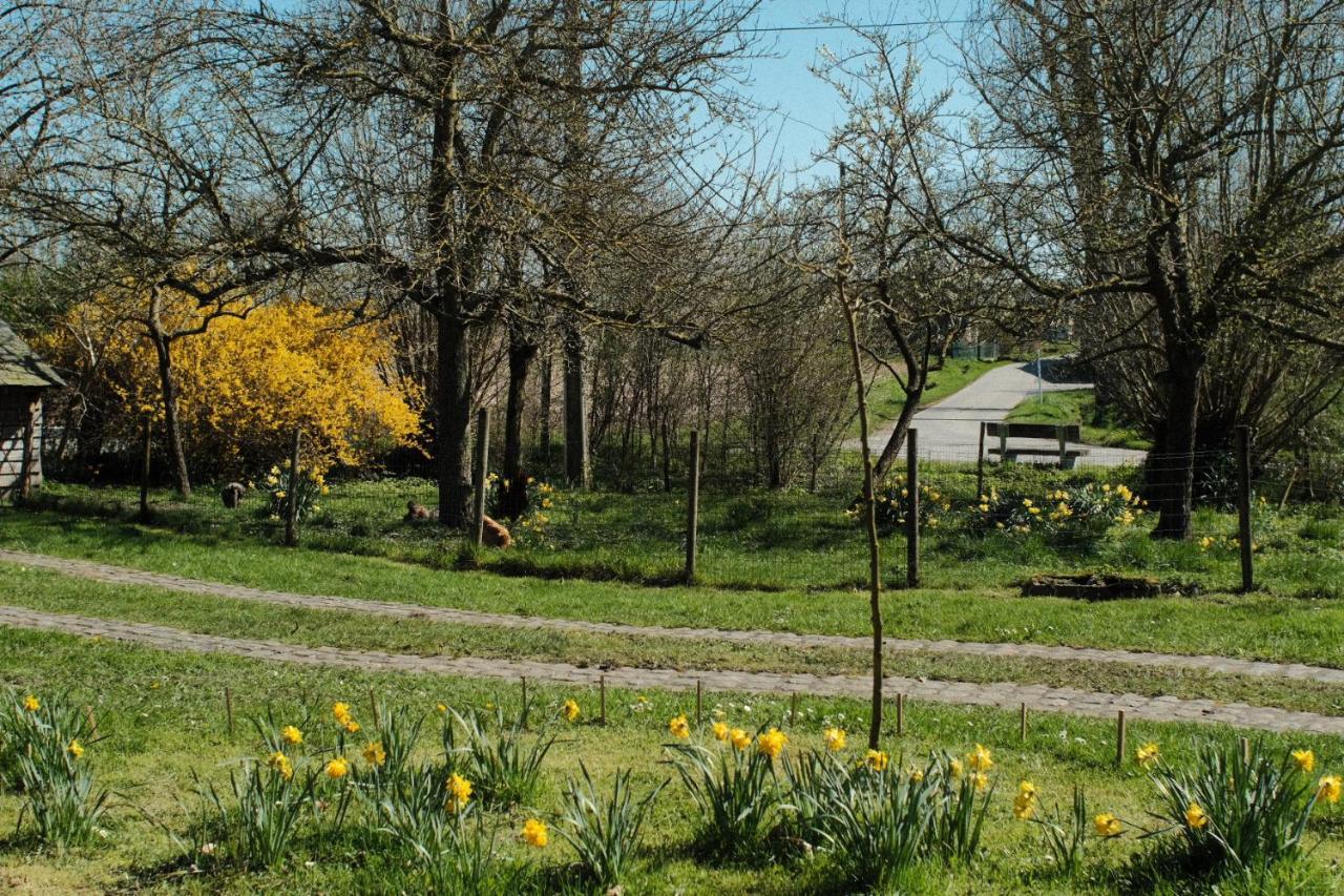 In Den Akker Villa Oudenaarde Kültér fotó